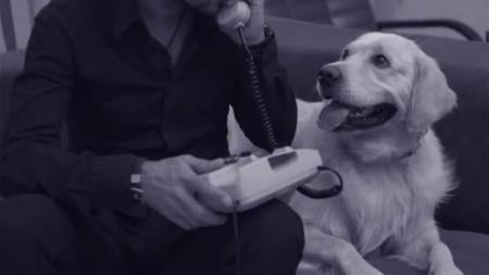 Oкеан Ельзи - На лінії вогню