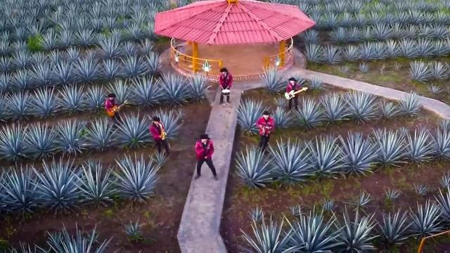 La Excelencia Nortena - Con Tu Amor