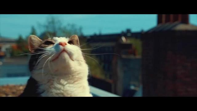 Don Diablo Ft. Betty Who - Higher