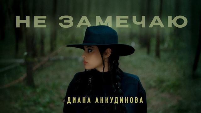 Диана Анкудинова - Не замечаю