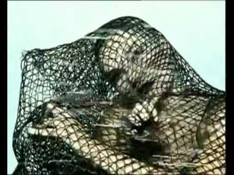 WHIGFIELD - No Tears No Cry