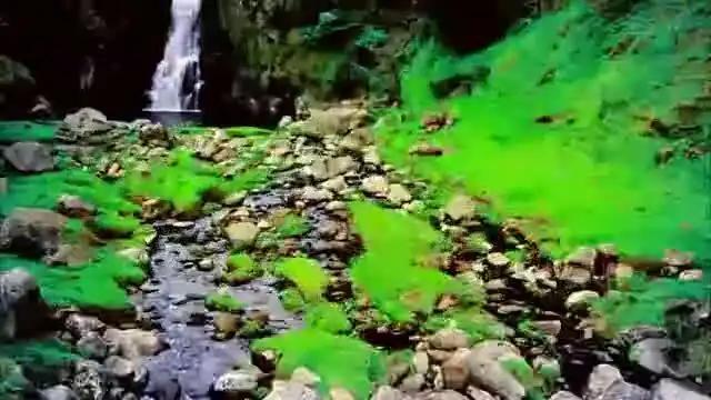 Nicki Minaj - Starships