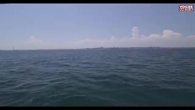 Cami Hedlinger - Fall In Love