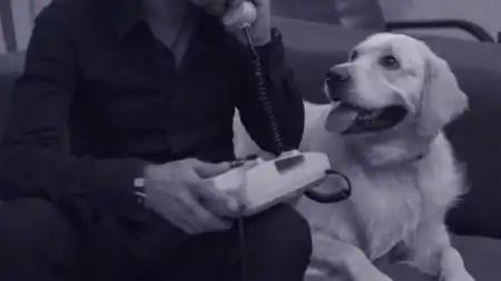 Oкеан Ельзи - На лінії вогню