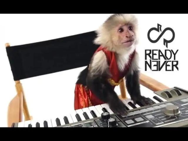 Ready Never - Assistant Press Play