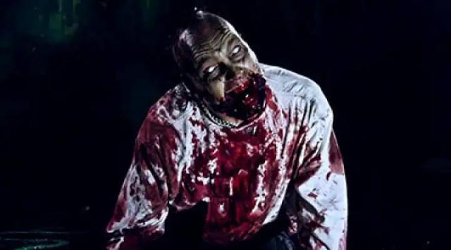 Sinsaenum - Splendor and Agony