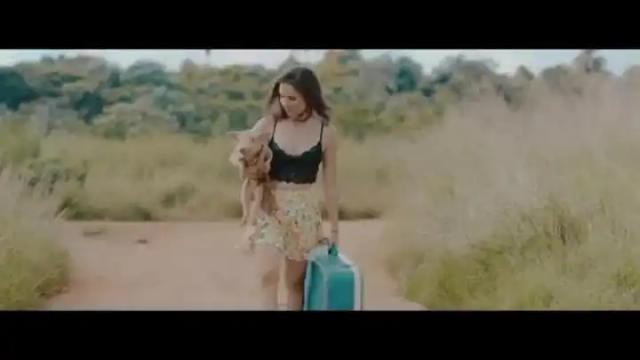 Diana Fuentes ft. Tommy Torres - La Fortuna