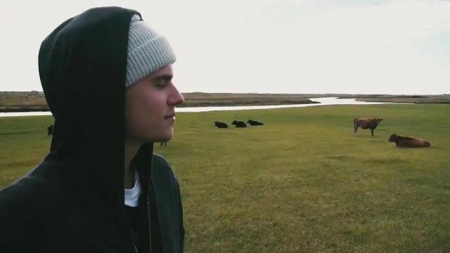 Dj Snake ft Justin Bieber - Let Me Love You