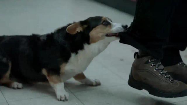 Swedish House Mafia - Save The World