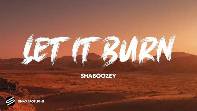 Shaboozey - Let It Burn