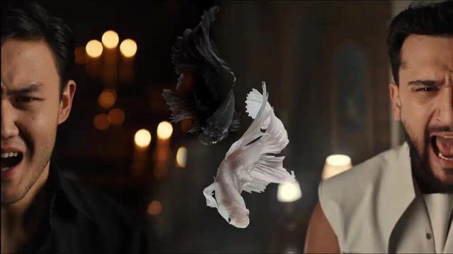 JONY and The Milan - Реки вели