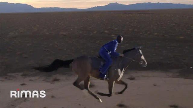 Bad Bunny - LOS PITS