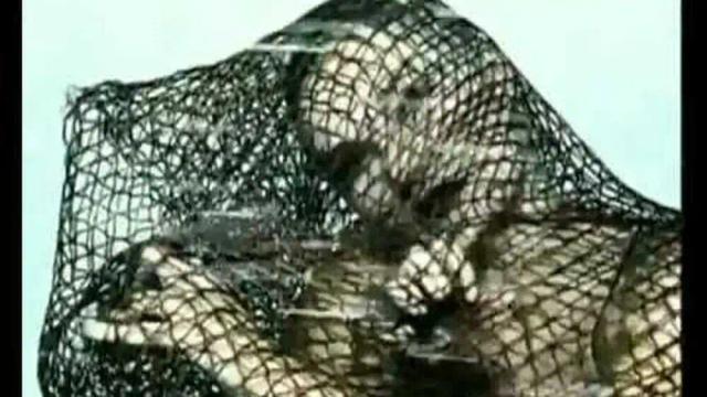 WHIGFIELD - No Tears No Cry