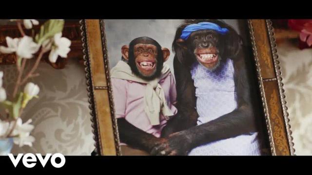 The Offspring - We Never Have Sex Anymore