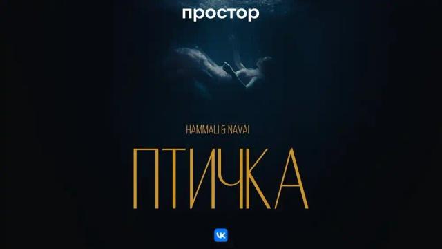 HammAli, Navai - Птичка
