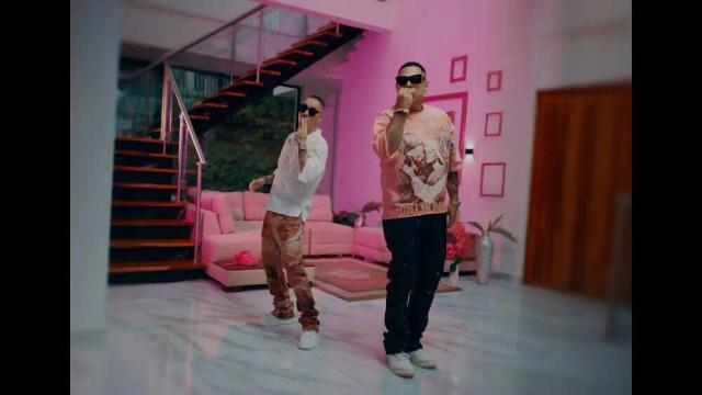 Baby Rasta, Gringo - Vision