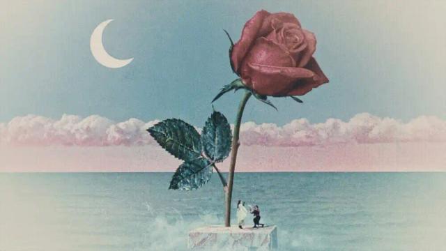 Tove Lo, stromae - des fleurs