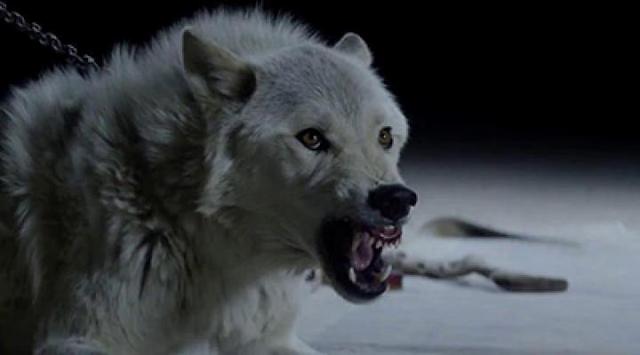 The Kills - Siberian Nights