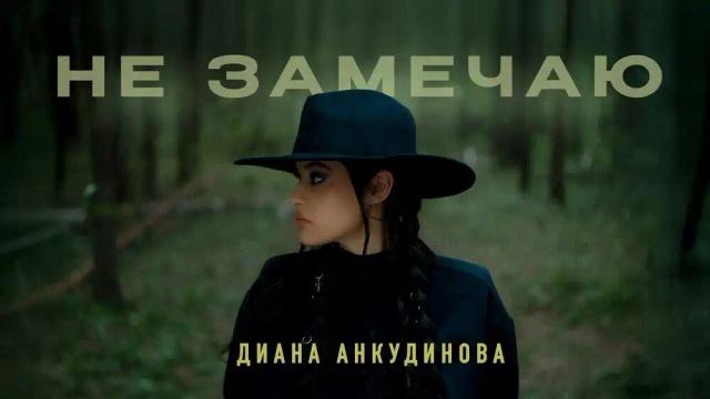 Диана Анкудинова - Не замечаю