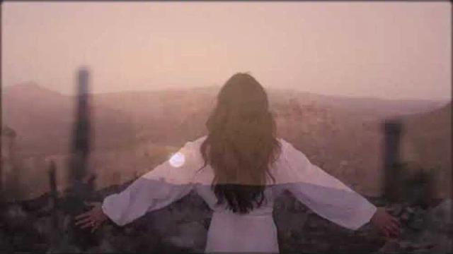 Schiller - Dream Of You - Remix